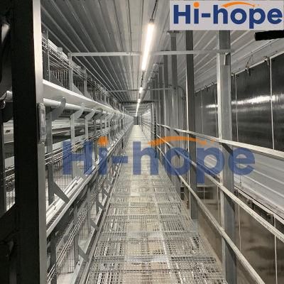 Hot Selling Africa Chicken Cage for Sale Automatic Chicken Layer Cage for Sale in Philippines