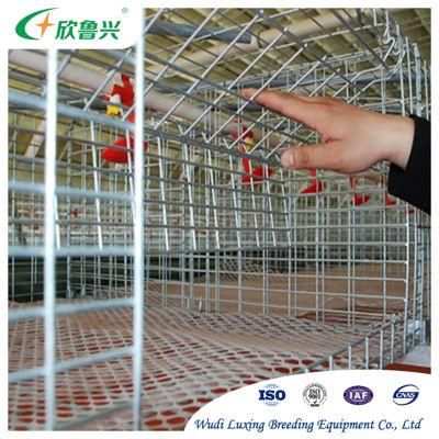 Automatic Poultry Farming Equipment Modernized Cage Layer Chicken Cage