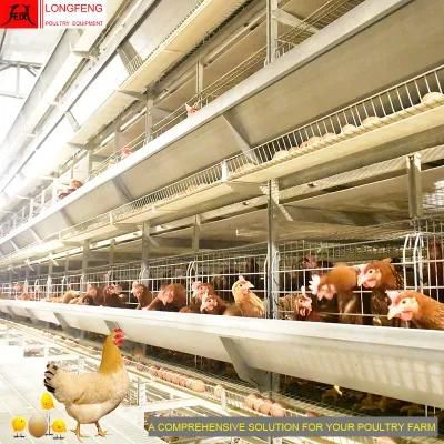 Dosing Medicine Spray Disinfection Fans and Cooling Pad Poultry Farming Equipment