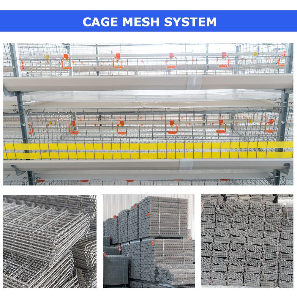 Hot Sell Poultry Cage H Type 4 Tiers Broiler Cage System for Chicken House Chicken Coop