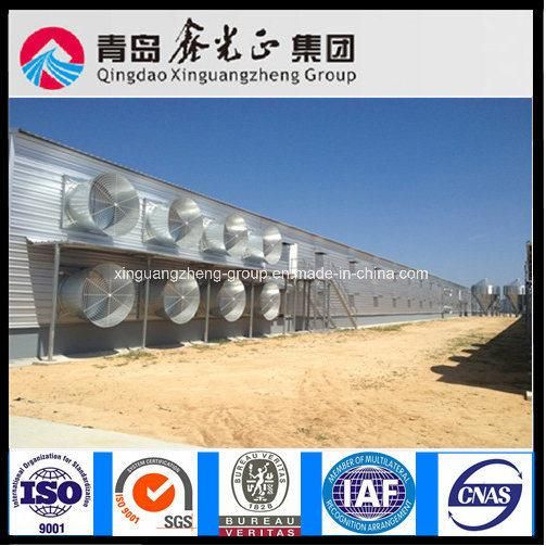 Survival Rate 98% Philippine Broiler Prefab Steel Structure House with Factory Price