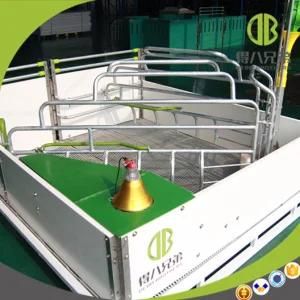 High Strengh Galvanized Swine Farrowing Crates for Farm Equipment