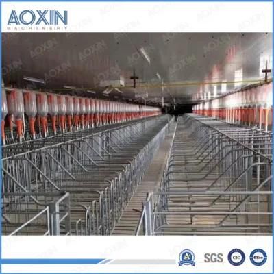 Livestock Farm Automatic Feeding System Construction Pig Farming Equipment with Feed Silos