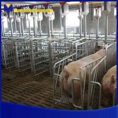 Galvanized Pig Farrowing Crate for Sale/Pig Farm Epuipment