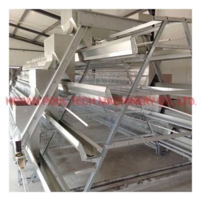 a Type Layer Cage Raising Equipment for 20000 Birds Layer Project