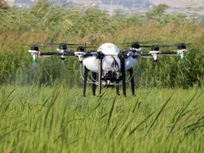 Tta 10L Carbon Fibre Pesticide Spray Aircraft, RC Agricultural Drone Sprayer, Agricultural Drone