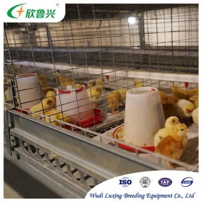 Automatic Baby Layer Chicken Farming Raising Cage Equipment for Chicken with Feeder Drinker and Cleaner