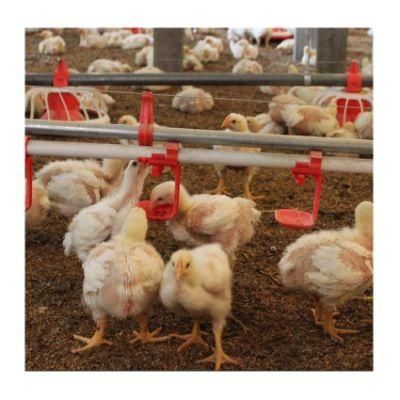 Stable Quality Poultry Animal Water Nipple Drinkers