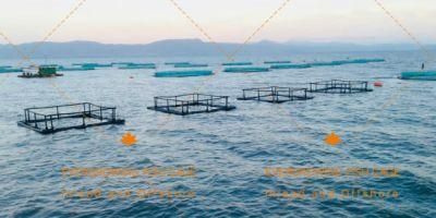 Aquaculture Square Fish Farming Net Cage