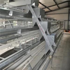 Low Carbon Steel Wire Poultry Equipment Chicken Cage for Chicken Farm