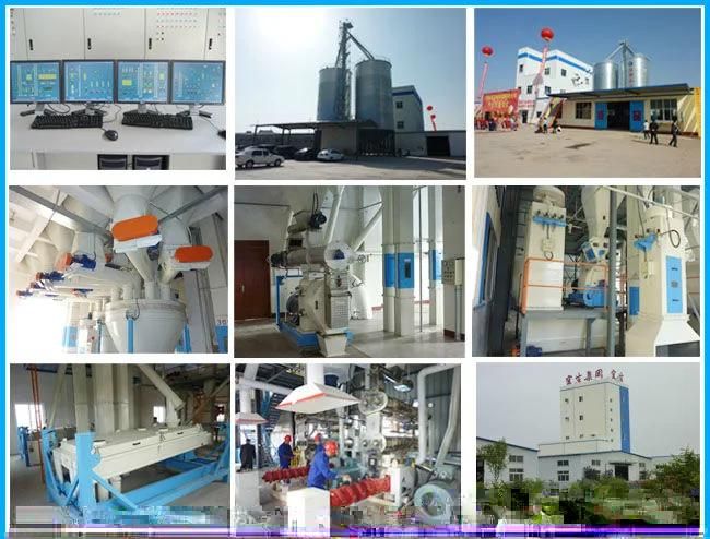 Ring Die Molding Granule Making Machine for Vannamei Shrimp Feed