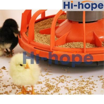 Poultry Broiler Farm Automatic Feeder