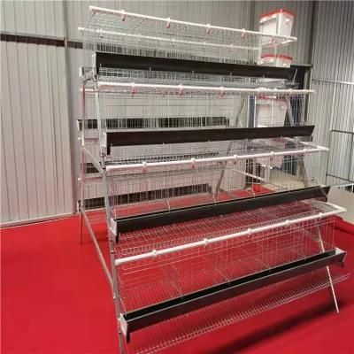 Fully Automated Galvanized Chicken Cage Egg Layer Cages for Poultry Farms