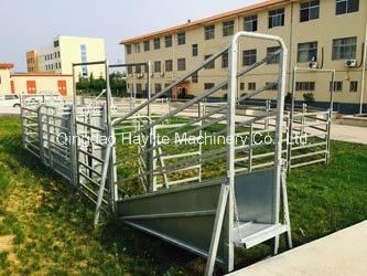 Livestock Cattle Handling Equipment System