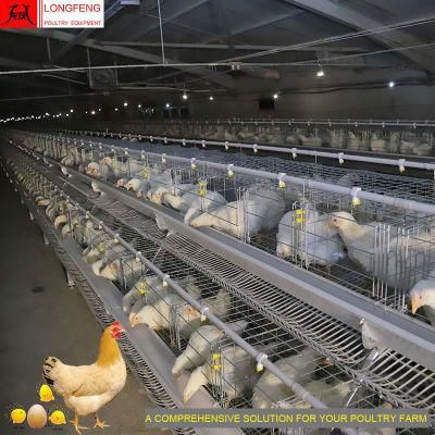 Customized New Longfeng China Layer Battery Poultry Feeding Equipment Egg Chicken Cage