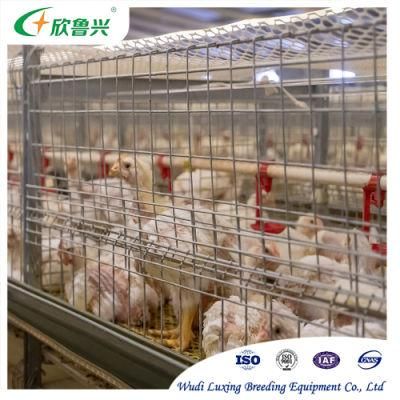 Galvanized Automatic Battery Cage Egg Layer Chicken Farming Poultry Equipment for Laying Hen Farm