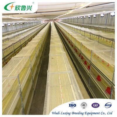 Fully Automatic Broiler Farm Battery Cage 3 Tiers 4 Tiers H Type Poultry Broiler Chicken Farming Equipment