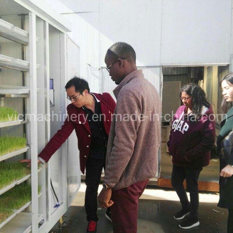 100kg/d Hydroponic Seed Germination Machine With LED Controller