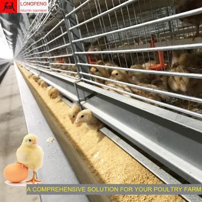 High Quality Professional Fans and Cooling Pad Automatic Pullet Layer Chicken Cage