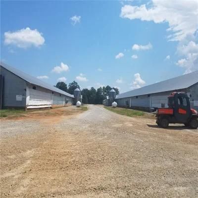 Easily Built Quick Installation Full Automatic Chicken Coop Equipment