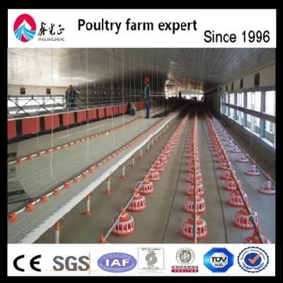 Factory Direct Design Automatic Poultry Farming Broiler Chicks Rate