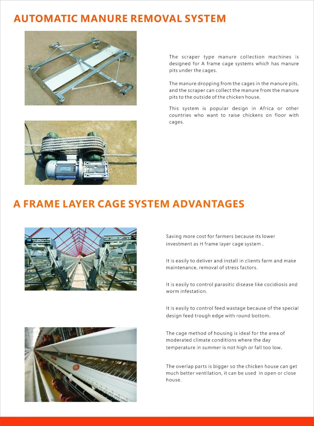 Specialized Battery Layer Cage for Poultry Farm in Africa