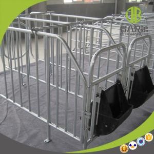 Deba 2017 Pig Farm Equipment Hot Galvanized Pig Gestation Stall