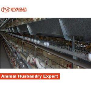 Complete Automatic Equipment for Broiler House/Poultry House