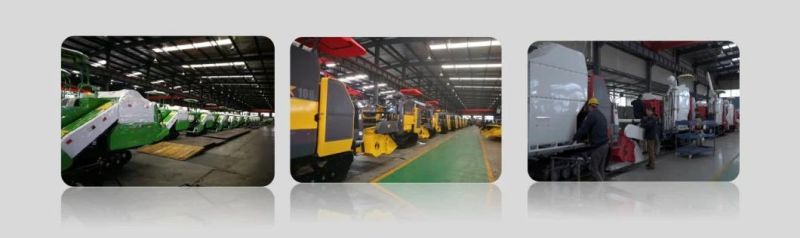 Deyang K-Bos Model 4lz-5.0z Combine Harvester for Paddy/Rice/Wheat/Corn/Maize/Soybean/Rapeseeds