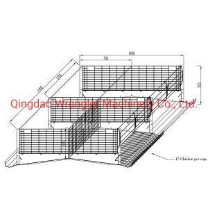 H Type 3 Tiers 4 Tiers Automatic Broiler Battery Cage for Indonesia Market