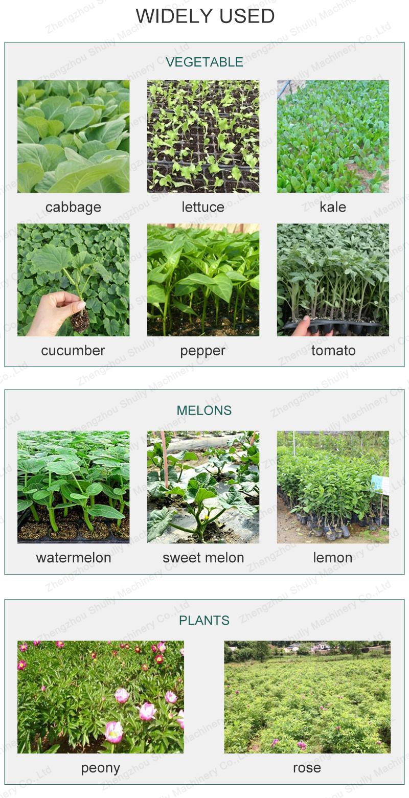 Time Saving and Labor Saving Lettuce Seed Transplanters Tobacco Transplanter