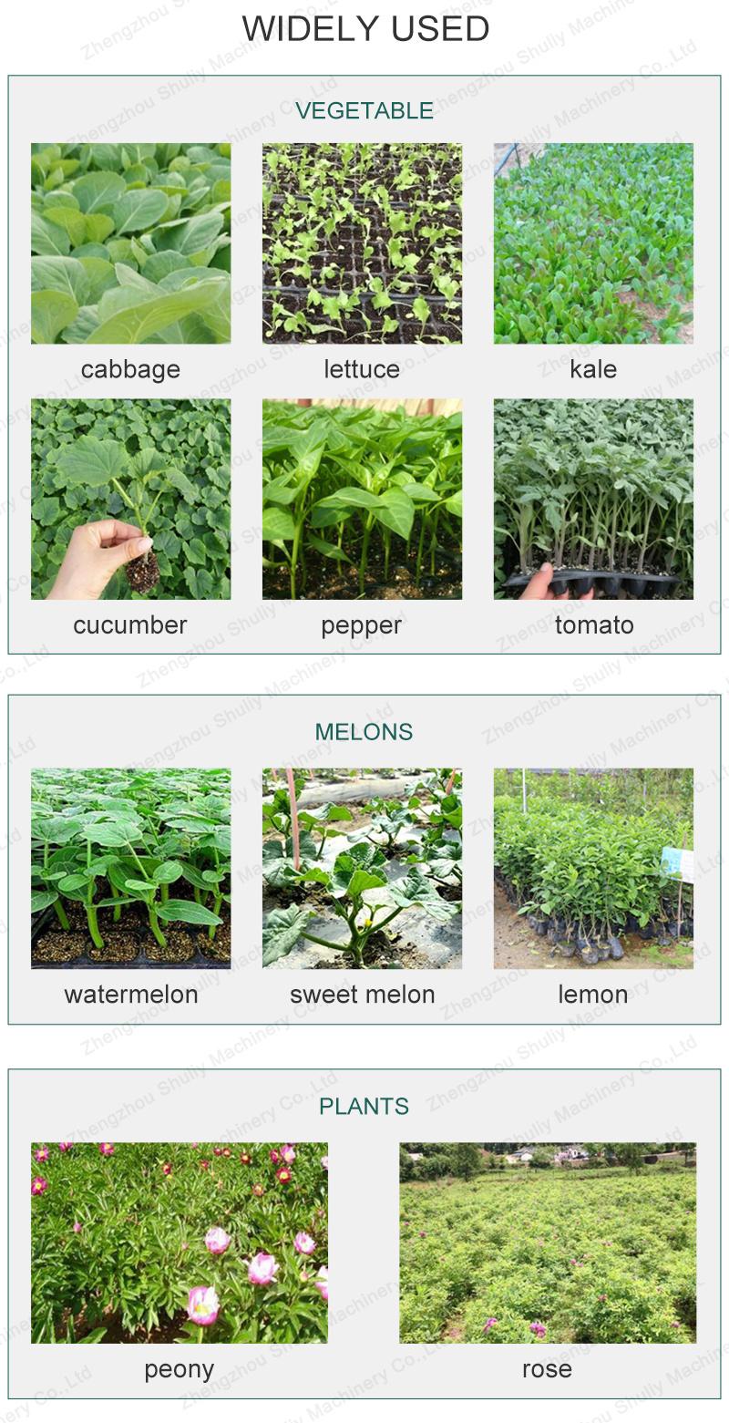 Time Saving and Labor Saving Lettuce Seed Transplanters Tobacco Transplanter