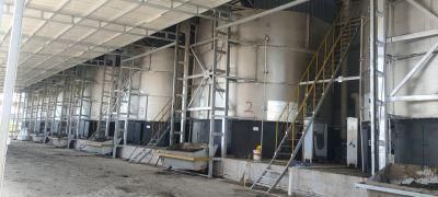 Stainless Steel Customized Fermenter Tank