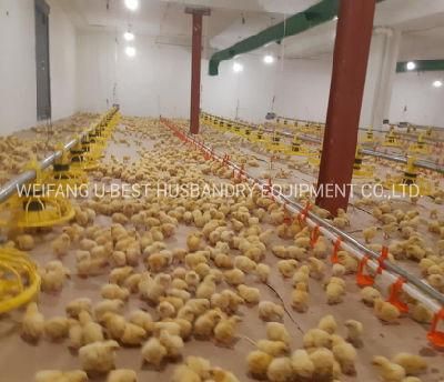 Climate Controlled Chicken Farm in Fiji with Silo Pan Feeding Line Nipple Drinking Line Cooling Pad Fan Heater Foggy System