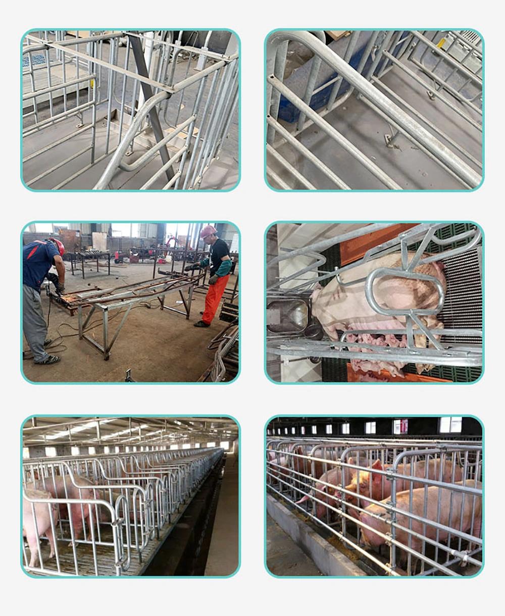 Pig Farming Farrowing Pen Nursery Pen Farrowing Stall Pig Farrowing Bed