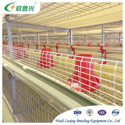 Poultry Farming Equipment H Type Layer Chicken Cage with Automatic System for Sale
