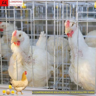 Factory Price 15-20years Chicken Longfeng China Equipment a Type Poultry Farm Cage