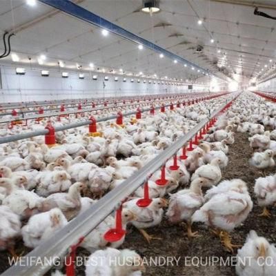 Fully Automatic Control Prefab Chicken Sheds for Poultry Farm