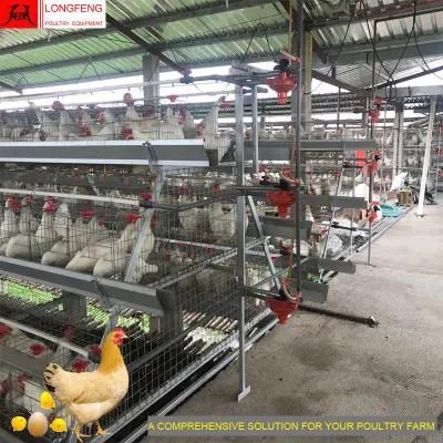 90 Birds, 120birds, 160birds Farming a Type Chicken Cage Poultry Farm Equipment Manufacture 9Ltd390/3120/4120/4160