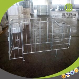 Wholesale Livestock Equipment Pig Gestation Stall / Individual Stall