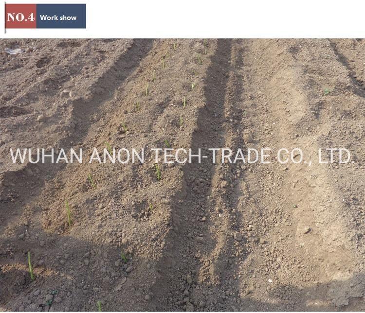 Anon Vegetable and Fruit Seedling Transfer Farm Transplant Equipment