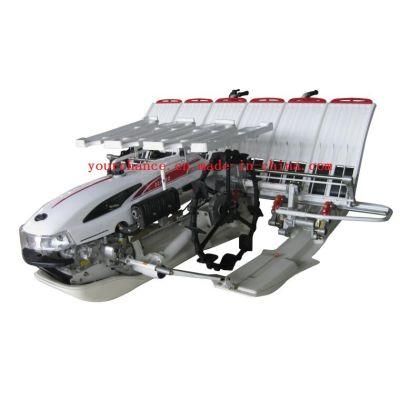 High Quality 2zx-625 6 Rows 250mm Rows Width Walking Type Rice Transplanter Hot Sale in India