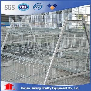 Jinfeng Poultry Equipment Chicken Cage for Sale