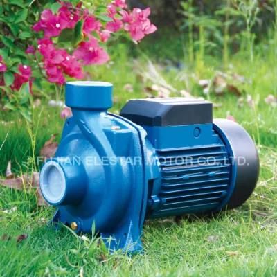 Big Flow Dtm Centrifugal Pumps