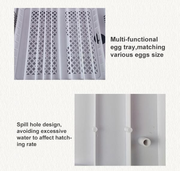 China Manufacture Hhd Brand 36 Egg New Arrival Mini Incubator