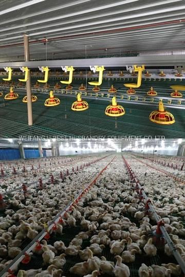 2021 Hot Sale Low Price Automatic Broiler Feed Equipment on Poultry Farm