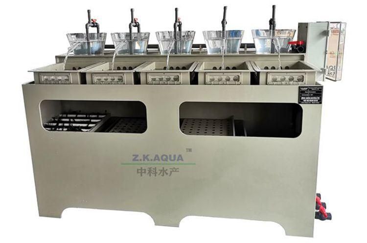 Pisciculture Incubators for Hatching Eggs Tilapia Fish Incubator