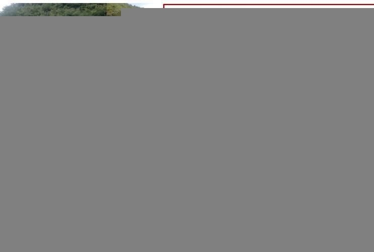 Full Hydraulic Weed Cutting Boat River Garbage Collection Boat