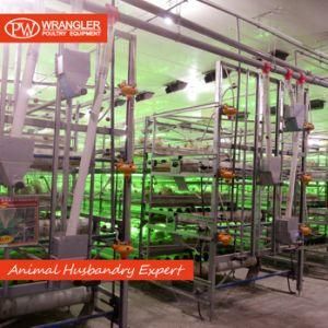 Good Price Automatic Poultry Farm Equipment Broiler Chicken Battery Cage for Sale