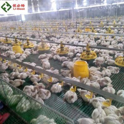 Full Automatic Poultry Farm Equipment for Chicken House Broiler Shed Breeder Livestock